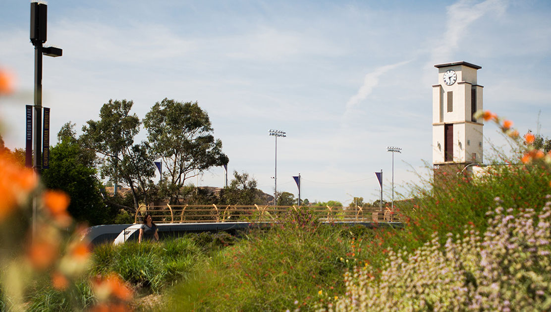 Campus scenery looking toward William Rolland Stadium